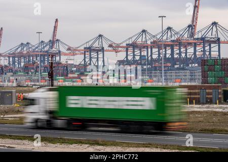 Container truck, bringing containers to Euromax Container Terminal, the seaport of Rotterdam, the Netherlands, deep sea port Maasvlakte 2, on a man-ma Stock Photo