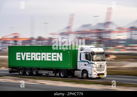 Container truck, bringing containers to Euromax Container Terminal, the seaport of Rotterdam, the Netherlands, deep sea port Maasvlakte 2, on a man-ma Stock Photo