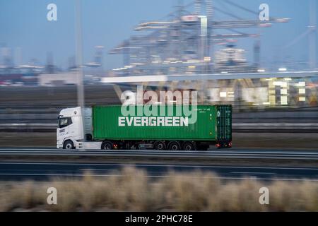 Container truck, bringing containers to Euromax Container Terminal, the seaport of Rotterdam, the Netherlands, deep sea port Maasvlakte 2, on a man-ma Stock Photo