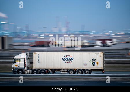 Container truck, bringing containers to Euromax Container Terminal, the seaport of Rotterdam, the Netherlands, deep sea port Maasvlakte 2, on a man-ma Stock Photo