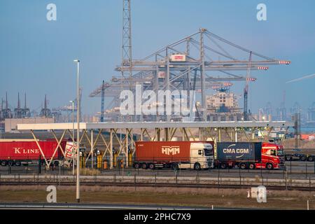 Port of Maasvlakte2, entry and exit control to RWG Container Terminal, container trucks picking up and bringing containers to and from the container t Stock Photo