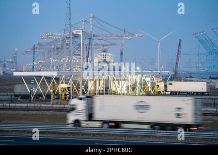 Port of Maasvlakte2, entry and exit control to RWG Container Terminal, container trucks picking up and bringing containers to and from the container t Stock Photo