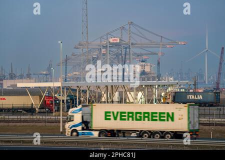 Port of Maasvlakte2, entry and exit control to RWG Container Terminal, container trucks picking up and bringing containers to and from the container t Stock Photo