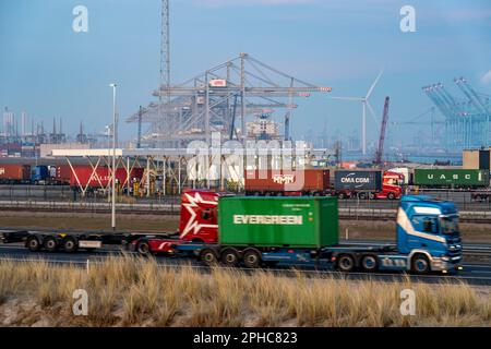 Port of Maasvlakte2, entry and exit control to RWG Container Terminal, container trucks picking up and bringing containers to and from the container t Stock Photo