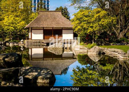 The picturesque Japanese tea house in the morning sun, surrounding scenic rocks and nature mirroring in the water of a pond, a tranquil setting. Stock Photo