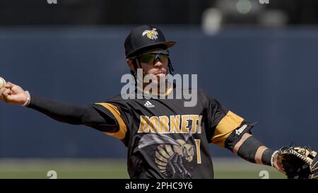 Alabama State infielder Randy Flores (1) celebrates a home run with Alabama  State catcher Jamal George (14) and other players during an NCAA baseball  game against Jackson State on Saturday, March 25