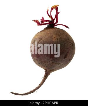 table ripe beets on a white background in isolation Stock Photo