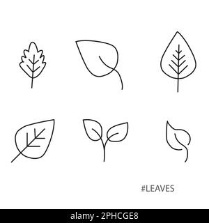 Black and white assorted leaves on a white backgroun with copy space Stock Vector