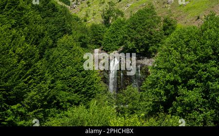 Small waterfall flowing through the trees. Natural background Stock Photo