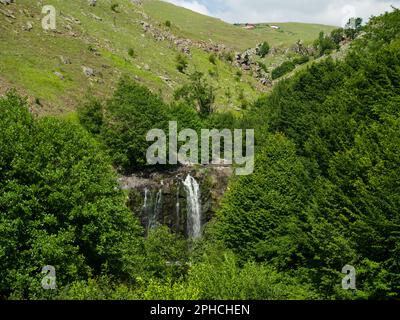 Small waterfall flowing through the trees. Karaoluk or Ciseli Waterfall, Persembe Plateau, Aybasti district, Ordu province, Turkey Stock Photo