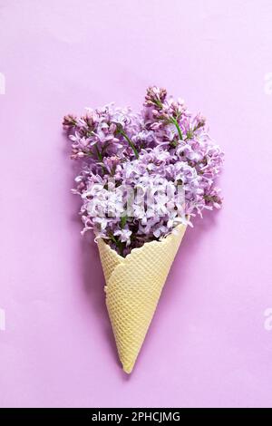 Lilac in an ice cream cone on pink background Stock Photo