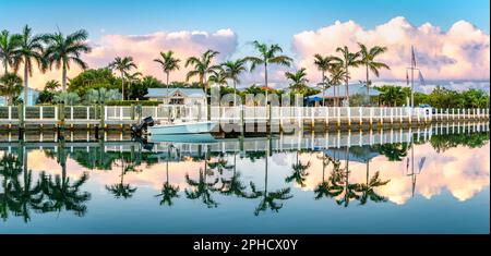 Trees reflected in canal at sunrise Stock Photo - Alamy