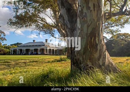 Mt Sturgeon Homestead, Dunkeld Stock Photo