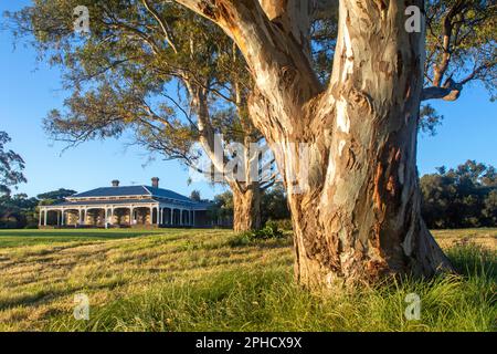 Mt Sturgeon Homestead, Dunkeld Stock Photo