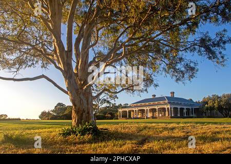 Mt Sturgeon Homestead, Dunkeld Stock Photo