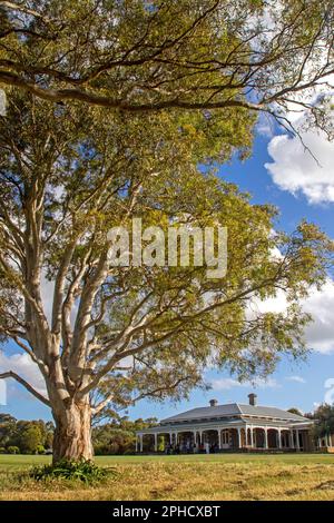 Mt Sturgeon Homestead, Dunkeld Stock Photo