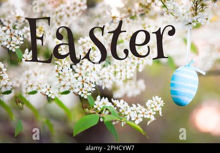 Text Easter. sign of spring and renewal, an Easter egg painted in blue colors hangs on a tender branch with fragrant white Prunus padus, bird cherry, Stock Photo