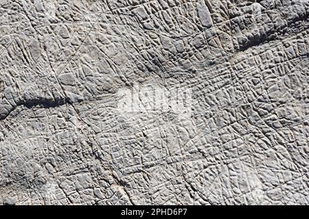 weathered gray desert limestone background texture with solution pattern and cracks Stock Photo