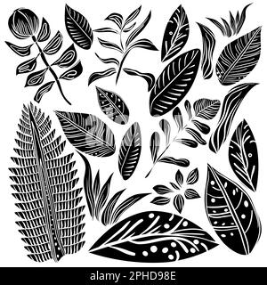 Tropical leaves and flowers vector set in doodle technique Stock Vector