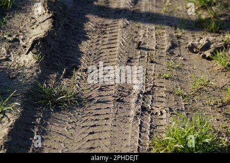 Image of tire tracks on mud on a country road after a rainy day. Stock Photo