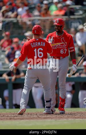 St. Louis Cardinals on X: Nolan's favorite player congratulates