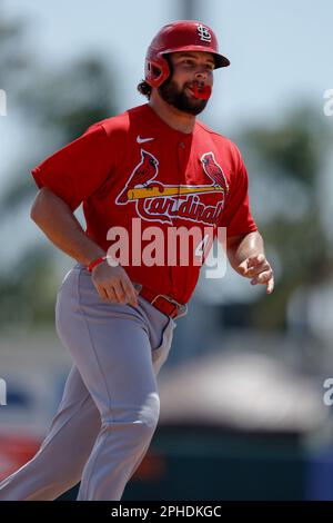 St. Louis Cardinals' Alec Burleson (41) runs to score on a single hit ...