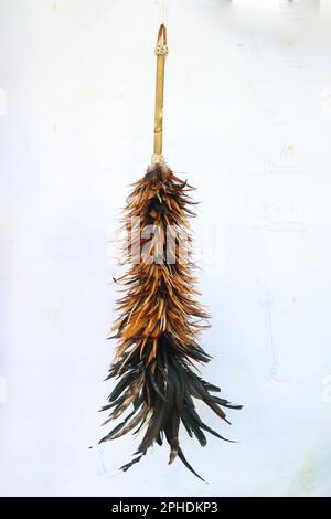 Chicken feather duster - isolated on white background Stock Photo - Alamy