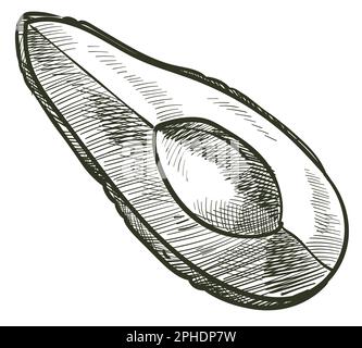 Avocado pear slice without seed, exotic fruit Stock Vector
