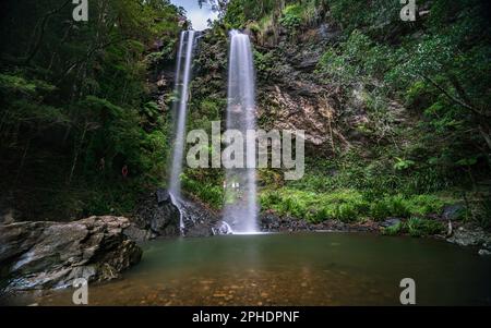 Twin Falls in Springbrook National Park, Queensland, Australia Stock Photo