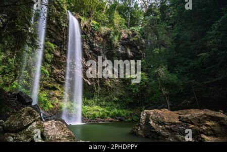 Twin Falls in Springbrook National Park, Queensland, Australia Stock Photo