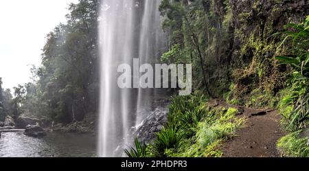 Twin Falls in Springbrook National Park, Queensland, Australia Stock Photo