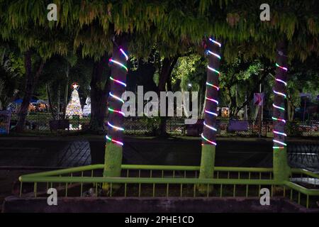 Palm trees decorated with Christmas lights in Siquijor in the Philippines, with a glowing Christmas tree in the background. Stock Photo