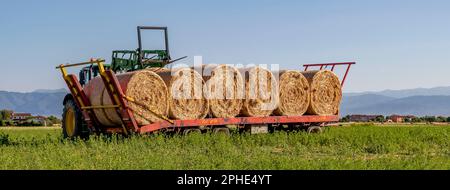 Banner size view of hay bales being lined up on a trailer to be transported off the field, Bientina, Italy Stock Photo