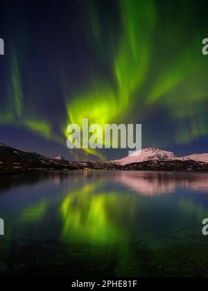 Northern lights over the Salangen Fjord  near Sjovegan in northern Norway during winter. Europe, northern europe, Norway Stock Photo