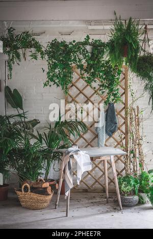Wooden table with cloth placed on concrete floor against white brick wall decorated by potted plants in light studio Stock Photo