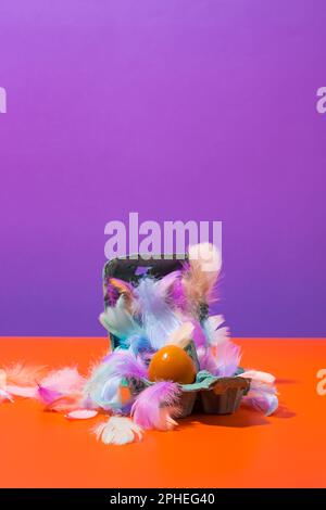 Opened container with egg and colorful feathers on orange surface against bright purple background Stock Photo