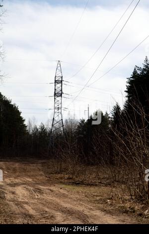 photo of a power line in the woods with wires Stock Photo