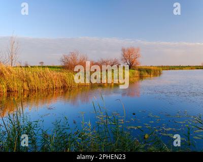 The Egyek Puszta with the wetlands and lake Fekete Ret. Landscape of the typical steppe ' Puszta ' ecosystem in  the  National Park Hortobagy, which i Stock Photo