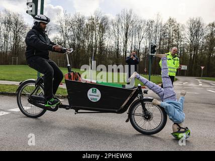 Essen, Germany. 28th Mar, 2023. A cyclist simulates a full braking with a cargo bicycle in which an unsecured child is sitting. At the presentation of a campaign for responsible use of cargo bicycles, Landesverkehrswacht demonstrated the dangers using crash tests. Credit: Oliver Berg/dpa/Alamy Live News Stock Photo