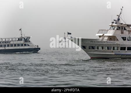 Watery crossroads: New York Waterway ferry heading northwest, Hornblower excursion boat heading southeast, sightseeing boat heading northeast. Stock Photo