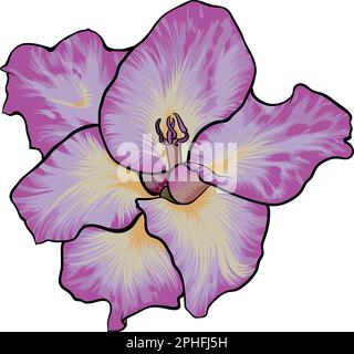 Gladiola flower with great colors. Stock Vector