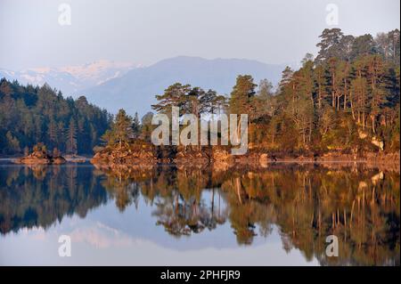 Glen Affric National Nature Reserve photographed in warm early morning light in spring with remnants ancient caledonian pine forest on wooded islands Stock Photo