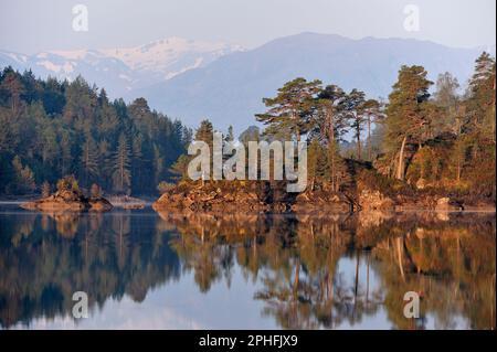 Glen Affric National Nature Reserve photographed in warm early morning light in spring with remnants ancient caledonian pine forest on wooded islands Stock Photo