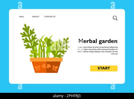 Herbal garden in pot vector icon Stock Vector