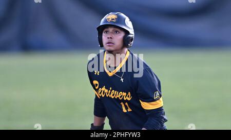 Ian Diaz - 2023 - Baseball - University of Maryland, Baltimore County