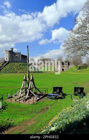 Trebuchet and Norman, Cardiff Castle, Cardiff, Souuth Wales, United Kingdom. Stock Photo