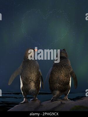 Couple of Rockhopper penguins watching aurora australis and heart shaped stars in the sky on a romantic night. Stock Photo