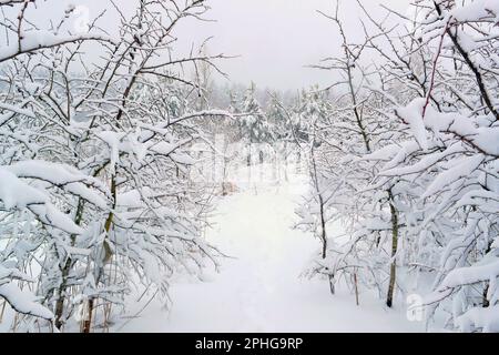 Minsk. 28th Mar, 2023. This photo taken on March 28, 2023 shows the snow scenery in Minsk, Belarus. Heavy snowfall swept parts of Belarus on Tuesday. Credit: Henadz Zhinkov/Xinhua/Alamy Live News Stock Photo