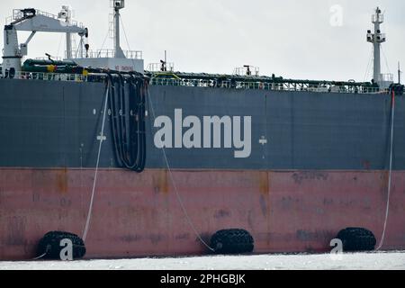 The Vessel ANSHUN II With "Yokohama" Fenders Prepared And Pipelines ...