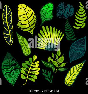 Set of tropical rainforest plants vector illustration Stock Vector